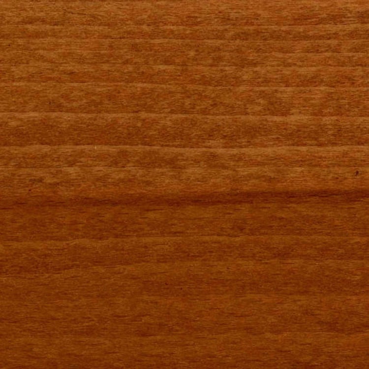 Bukev kern 214